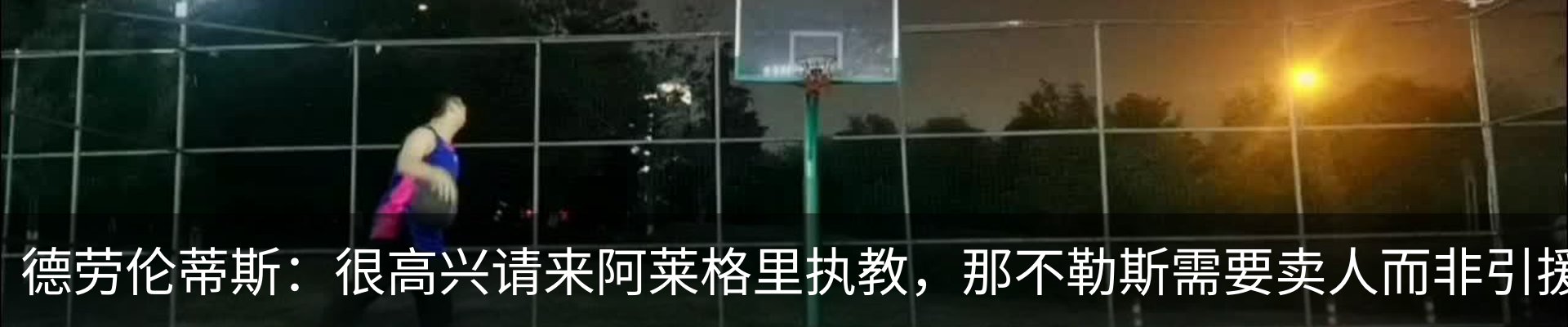 新闻动态