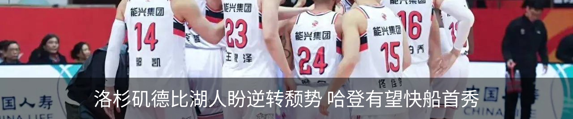新闻动态