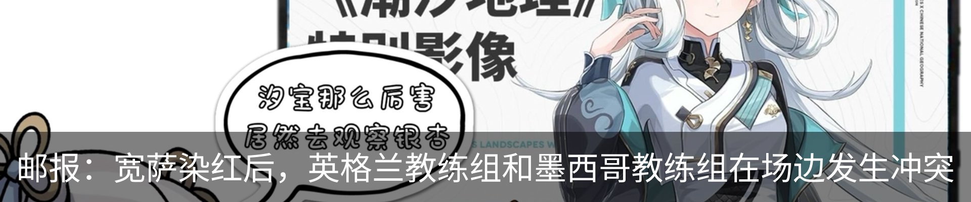 新闻动态