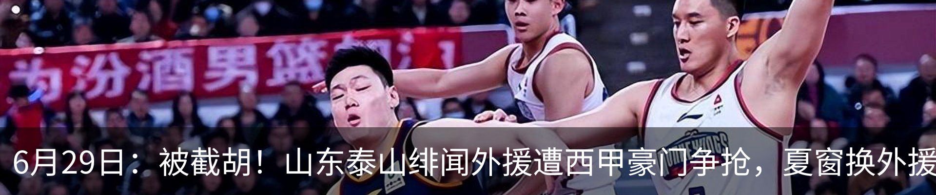 新闻动态